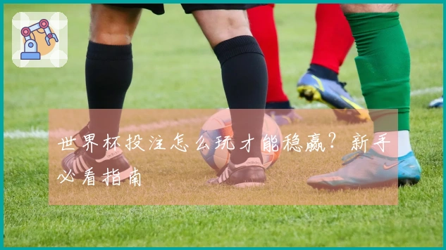 世界杯投注怎么玩才能稳赢?新手必看指南