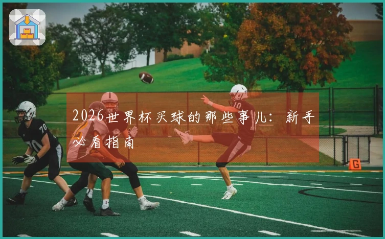 2026世界杯买球的那些事儿：新手必看指南