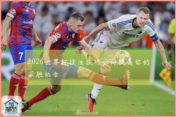 2026世界杯投注技巧如何提高你的获胜机会