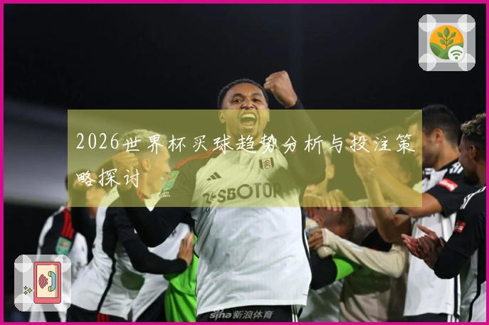 2026世界杯买球趋势分析与投注策略探讨