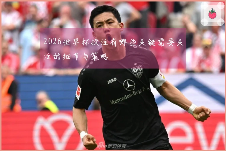 2026世界杯投注有哪些关键需要关注的细节与策略